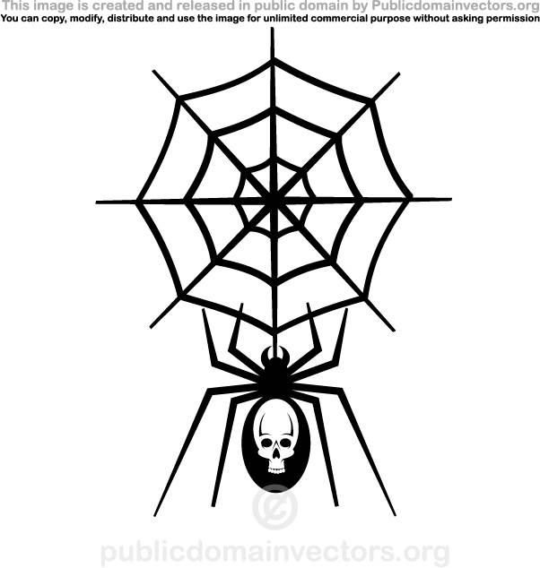 骷髅蜘蛛和网素材