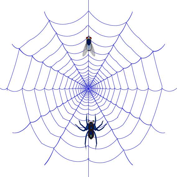蜘蛛和紫色的网素材