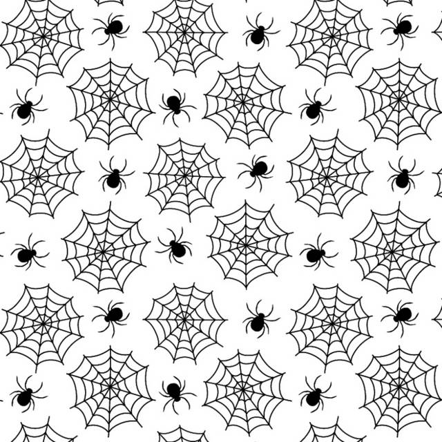 黑白蜘蛛和网底纹素材