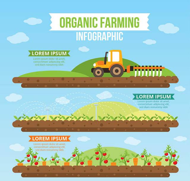 创意绿色农场信息图矢量图