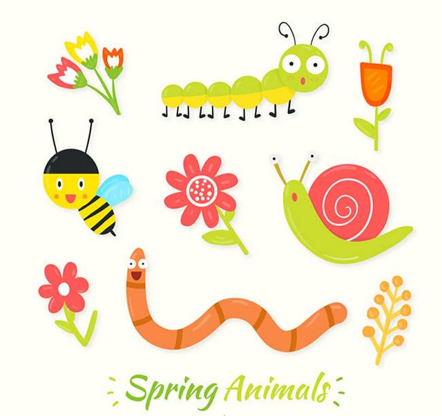 9款春季花朵和昆虫矢量图