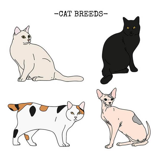 4款可爱彩绘猫咪设计矢量图