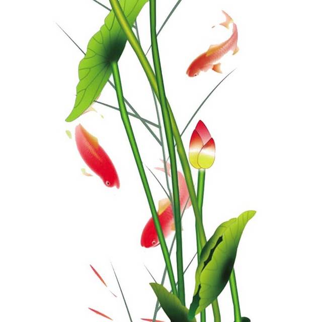 传统国画荷花分层素材