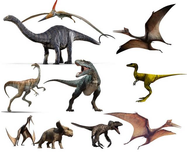 多种恐龙素材