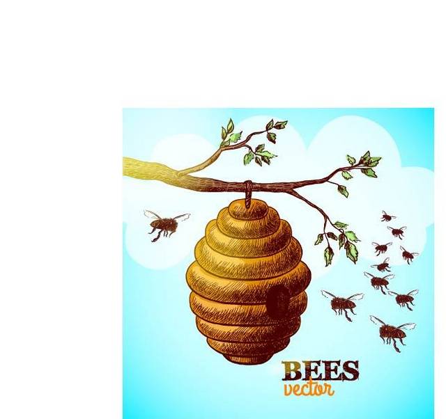 卡通蜜蜂和蜂巢素材