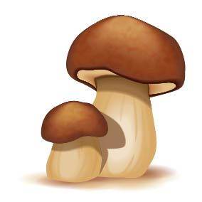 两个卡通蘑菇素材