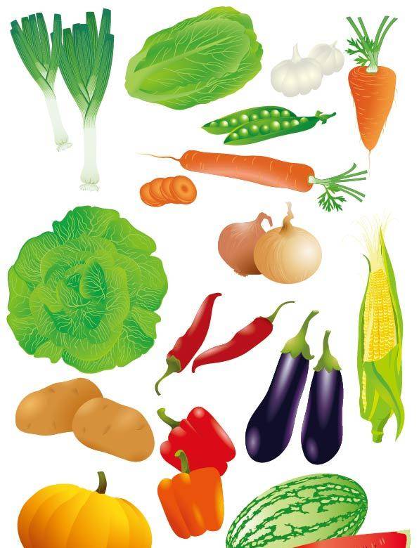 卡通青菜等蔬菜素材