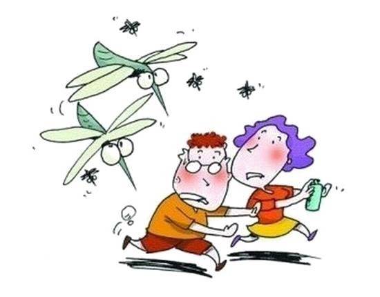 蚊子漫画素材