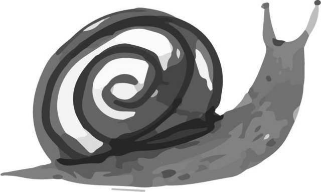 灰色蜗牛素材