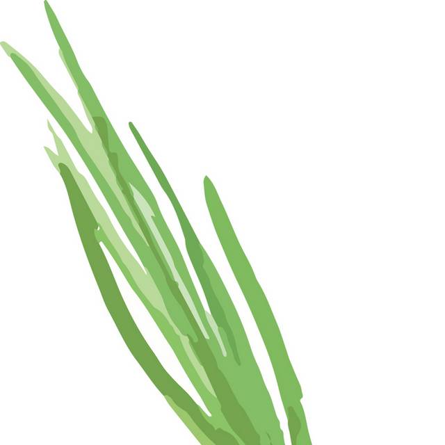 免抠大葱素材