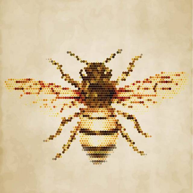 创意蜜蜂插画