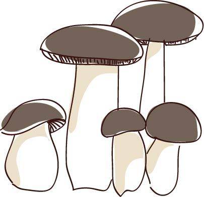 菌菇设计素材