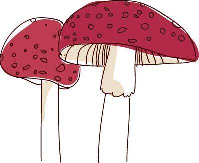 红色小蘑菇