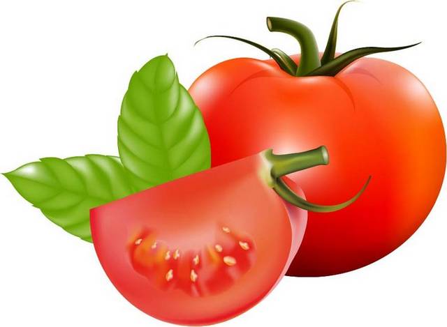 西红柿矢量设计素材