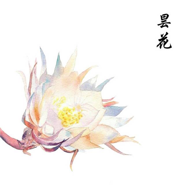 手绘彩铅昙花素材