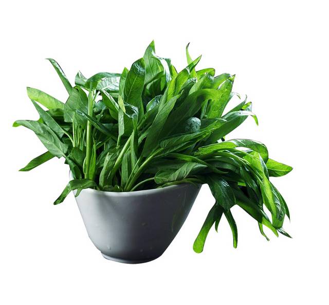 一碗空心菜素材