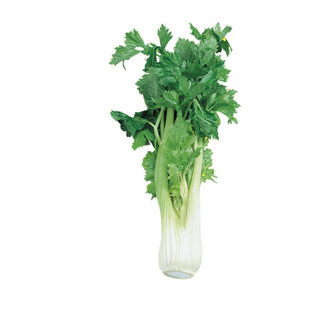一棵大芹菜