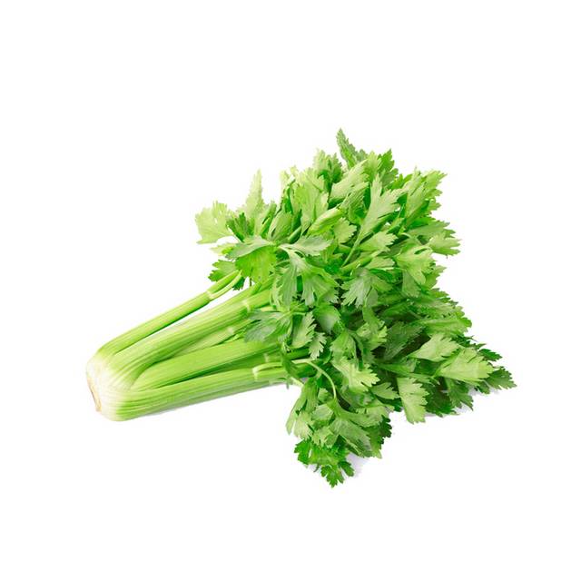 蔬菜芹菜素材