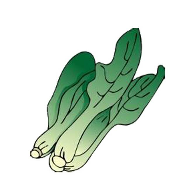 免抠手绘青菜