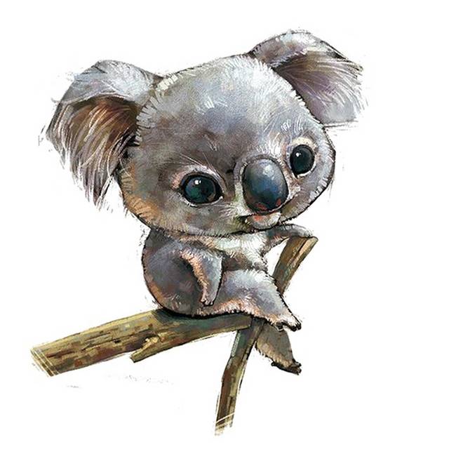 大眼睛考拉