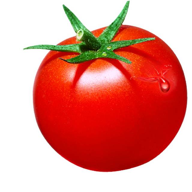 免抠PNG素材西红柿