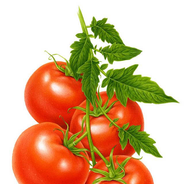 免抠素材番茄PNG