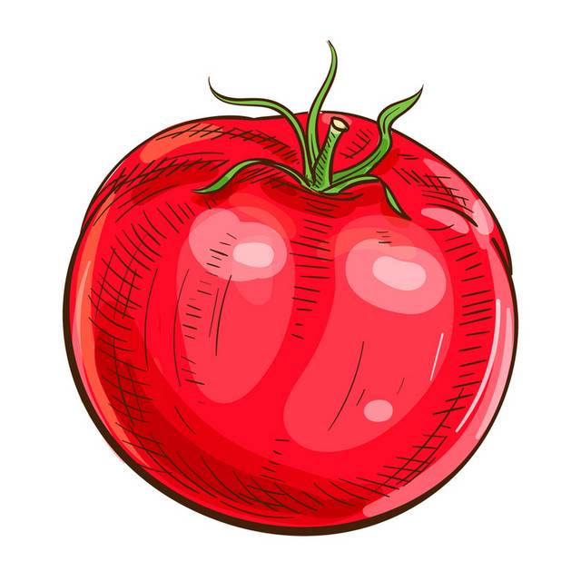 手绘西红柿PNG素材