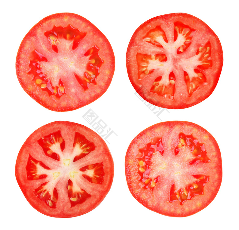 番茄果实横切面结构图图片