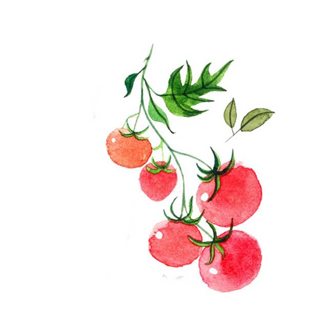 水彩手绘西红柿免抠