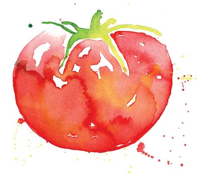 水彩手绘西红柿