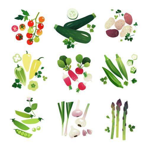 手绘多种蔬菜