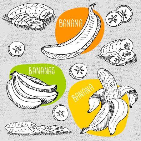 多种手绘香蕉
