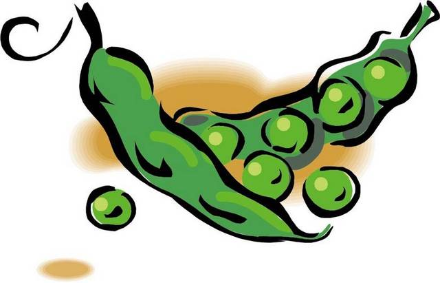 卡通手绘绿豆