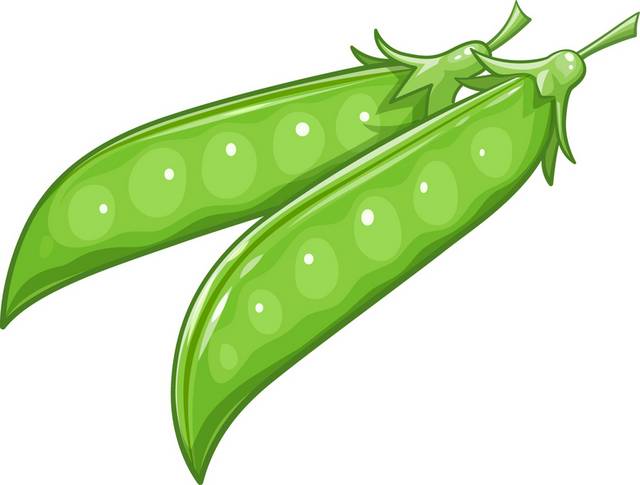 蔬菜豆角元素