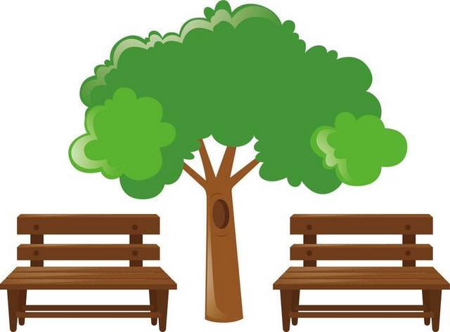 木质长椅和大树