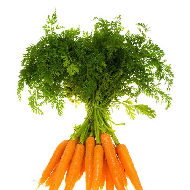 胡萝卜绿色蔬菜