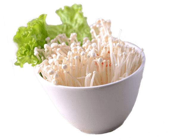 一碗金针菇素材