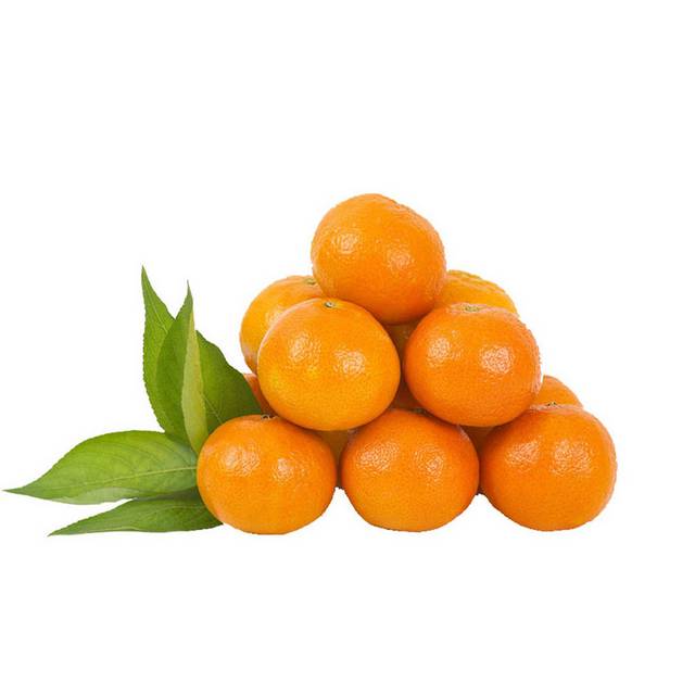 一堆橘子素材