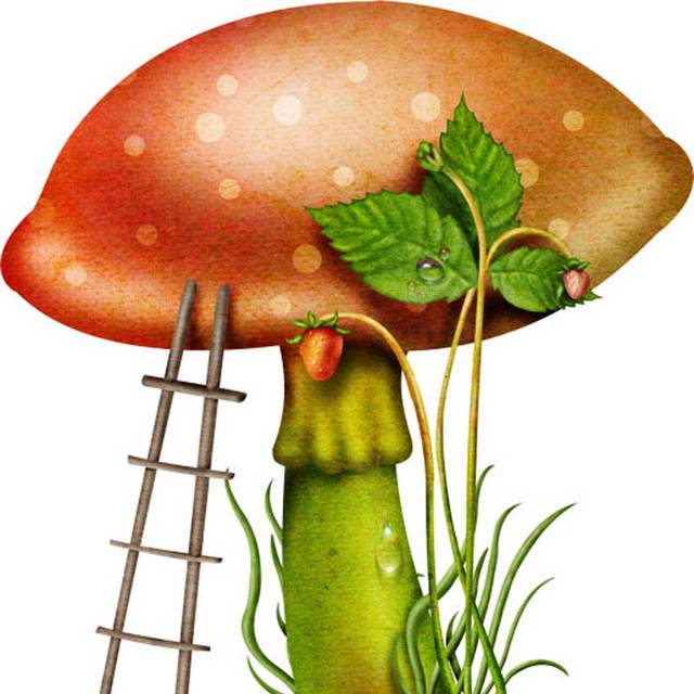 卡通手绘蘑菇素材