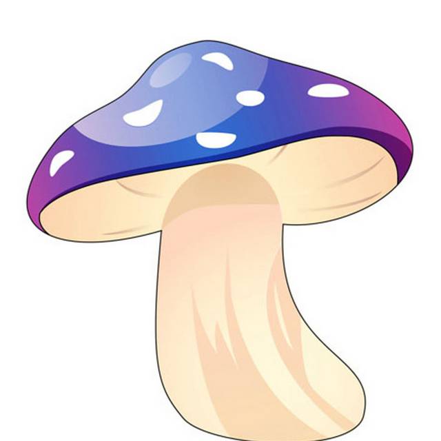 菌类蘑菇素材