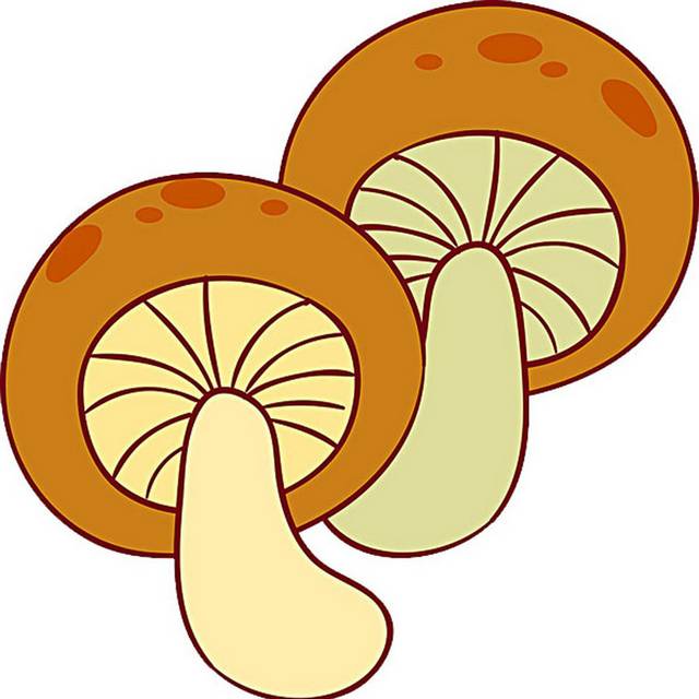 卡通蘑菇设计素材下载
