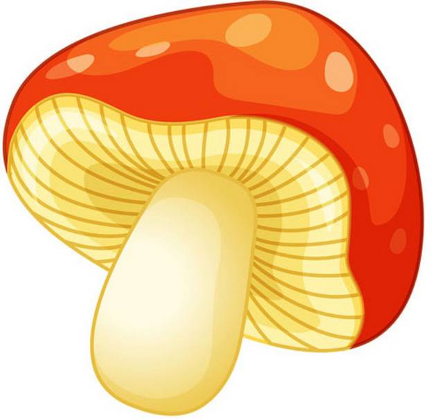 卡通蘑菇设计元素下载
