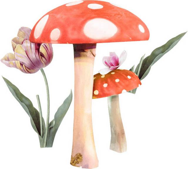 两个手绘蘑菇