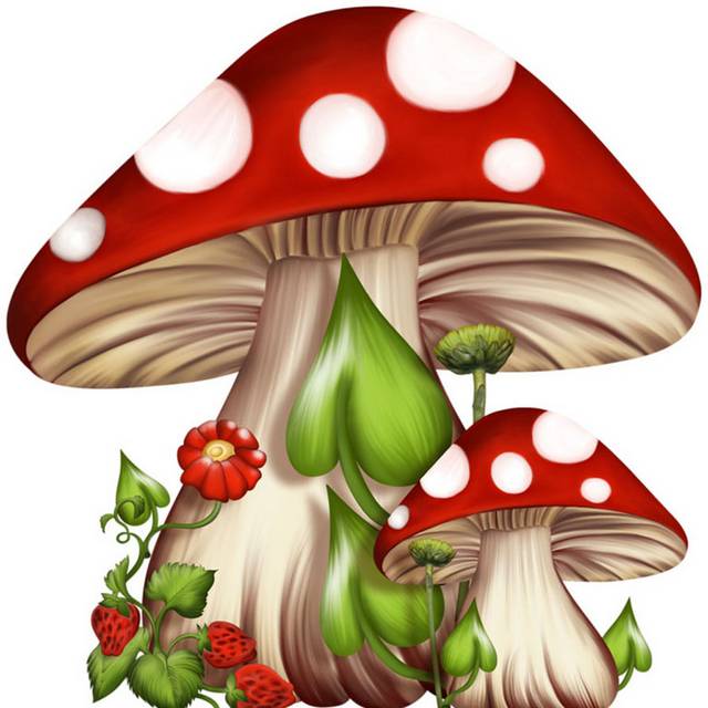 红色的蘑菇