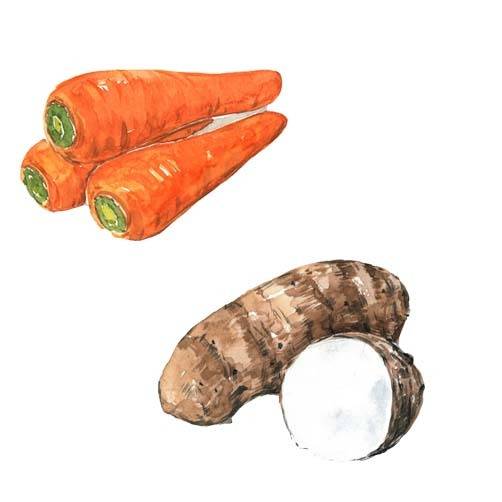 手绘蔬菜素材胡萝卜