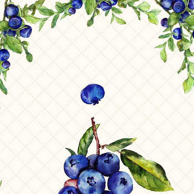 手绘蓝莓背景