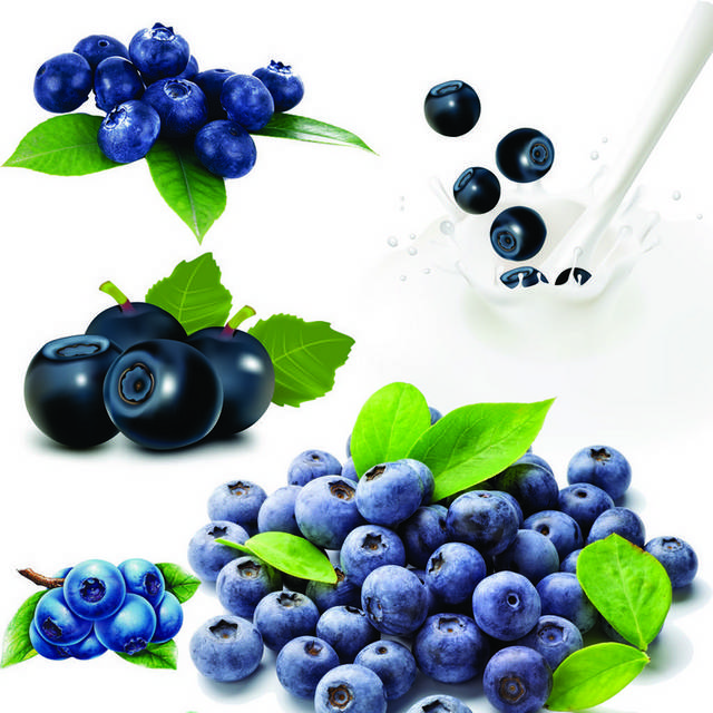 多种蓝莓素材