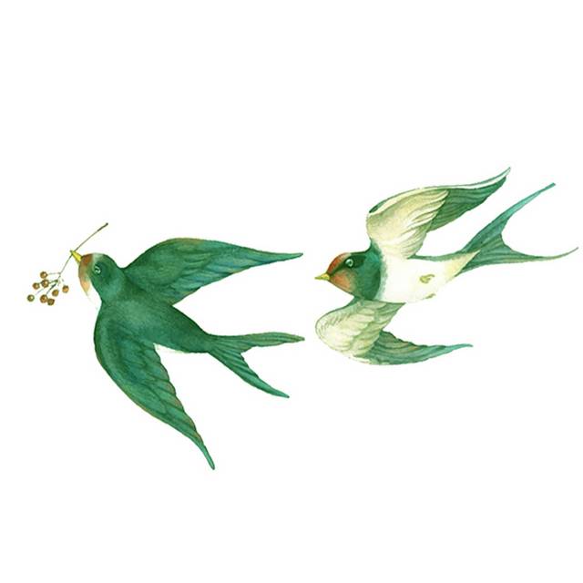 绿色燕子素材