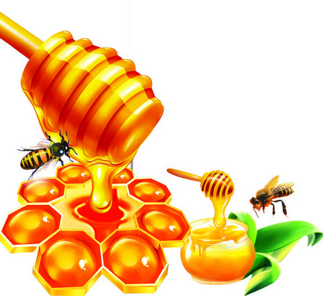 卡通酿蜜的蜜蜂