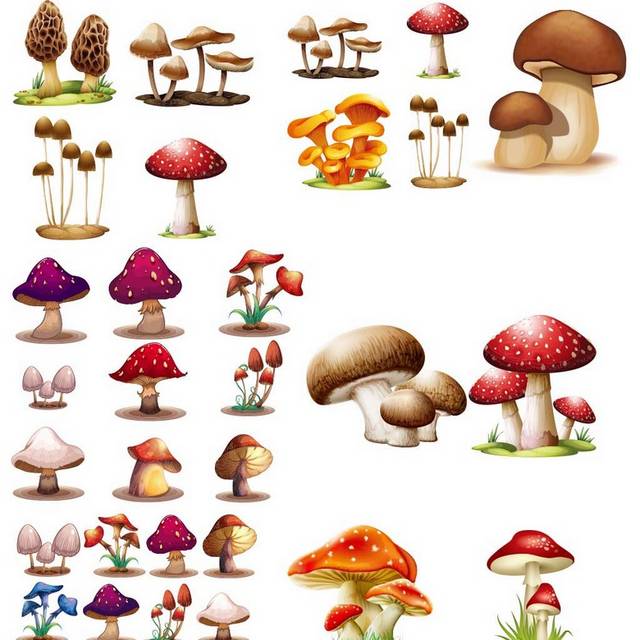 手绘蘑菇合集源文件